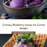 Blueberry Lemon Ice Cream Recipe