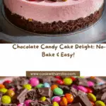 Chocolate Candy Cake Recipe
