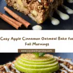 Apple Cinnamon Oatmeal Bake Recipe