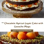 Chocolate Apricot Layer Cake Recipe