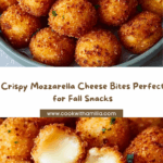 Cheese Bites Recipe