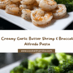 Garlic Butter Shrimp & Broccoli Alfredo Recipe
