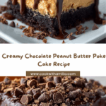Chocolate Peanut Butter Poke Cake Recipe
