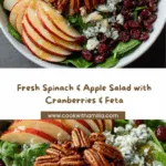 Spinach & Apple Salad with Cranberries, Pecans & Feta Recipe