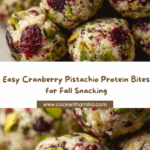 Cranberry Pistachio Protein Bites Recipe