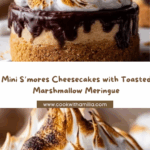 Mini S’mores Cheesecakes with Toasted Marshmallow Meringue Recipe
