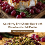 Cranberry Brie Party Board with Pistachios Recipe