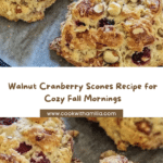 Neapolitan Cookies Recipe