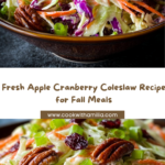 Apple Cranberry Coleslaw Recipe