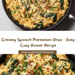 Creamy Spinach Parmesan Orzo Recipe