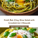 Crispy Feta Rolls with Cranberry Honey Dip Recipe