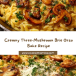 Three-Mushroom Brie Orzo Bake Recipe